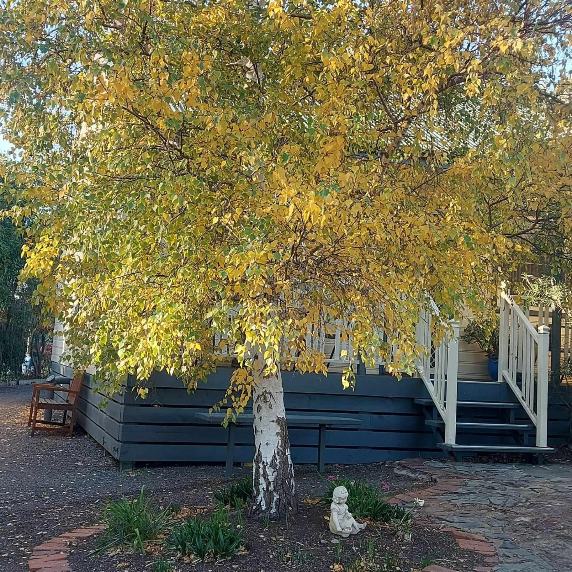 Avoca Cottages Victoria Exterior foto